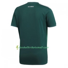 Fußballtrikots Mexiko 2018 Kurzarm Heimtrikotsatz kaufen